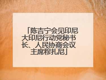 陈吉宁会见印尼大印尼行动党秘书长、人民协商会议主席穆扎尼
