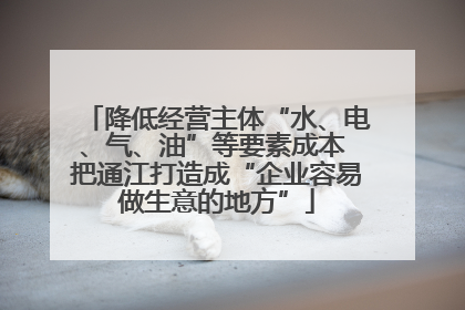 降低经营主体“水、电、气、油”等要素成本 把通江打造成“企业容易做生意的地方”