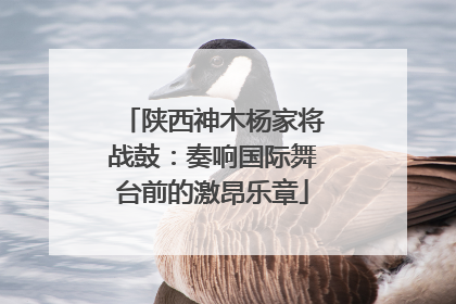 陕西神木杨家将战鼓：奏响国际舞台前的激昂乐章