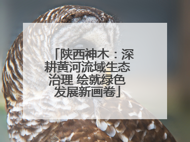 陕西神木：深耕黄河流域生态治理 绘就绿色发展新画卷