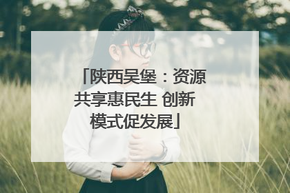 陕西吴堡：资源共享惠民生 创新模式促发展