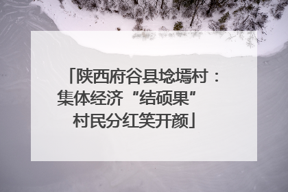 陕西府谷县埝墕村：集体经济“结硕果” 村民分红笑开颜