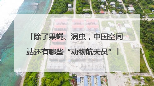 除了果蝇、涡虫，中国空间站还有哪些“动物航天员”