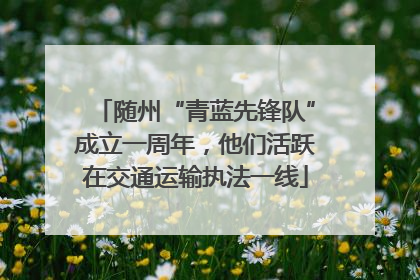 随州“青蓝先锋队”成立一周年，他们活跃在交通运输执法一线