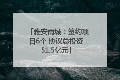 雅安雨城：签约项目6个 协议总投资51.5亿元