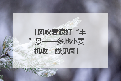 风吹麦浪好“丰”景——多地小麦机收一线见闻