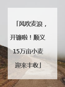 风吹麦浪，开镰啦！顺义15万亩小麦迎来丰收