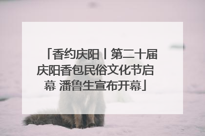 香约庆阳丨第二十届庆阳香包民俗文化节启幕 潘鲁生宣布开幕