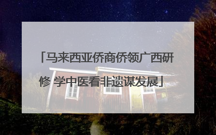 马来西亚侨商侨领广西研修 学中医看非遗谋发展