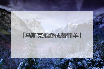 马斯克抱怨成替罪羊