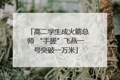 高二学生成火箭总师 “手搓”飞燕一号突破一万米