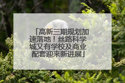 高新三期规划加速落地！丝路科学城又有学校及商业配套迎来新进展