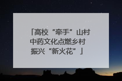 高校“牵手”山村 中药文化点燃乡村振兴“新火花”