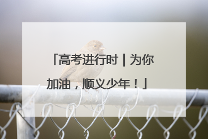 高考进行时｜为你加油，顺义少年！