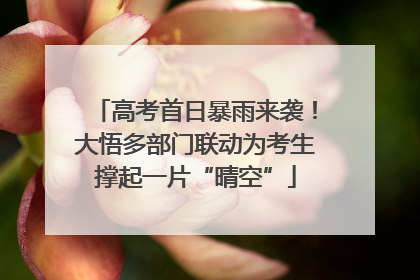 高考首日暴雨来袭！大悟多部门联动为考生撑起一片“晴空”