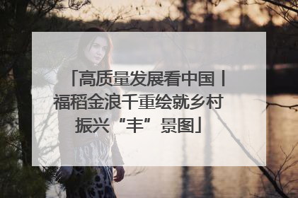 高质量发展看中国丨福稻金浪千重绘就乡村振兴“丰”景图
