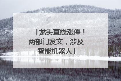 龙头直线涨停！两部门发文，涉及智能机器人