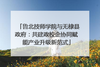 鲁北技师学院与无棣县政府：共建政校企协同赋能产业升级新范式