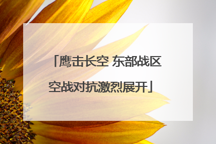 鹰击长空 东部战区空战对抗激烈展开