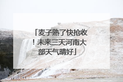 麦子熟了快抢收！未来三天河南大部天气晴好