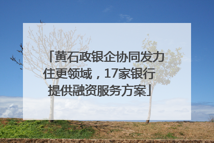 黄石政银企协同发力住更领域，17家银行提供融资服务方案
