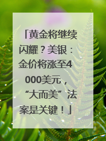 黄金将继续闪耀？美银：金价将涨至4000美元，“大而美”法案是关键！