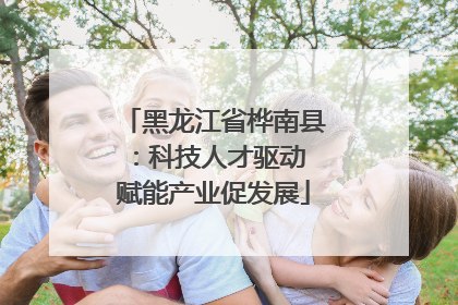 黑龙江省桦南县：科技人才驱动 赋能产业促发展