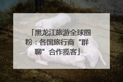 黑龙江旅游全球圈粉：各国旅行商“群聊”合作揽客