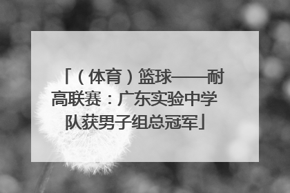 （体育）篮球——耐高联赛：广东实验中学队获男子组总冠军