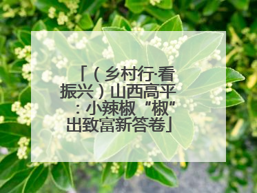 （乡村行·看振兴）山西高平：小辣椒“椒”出致富新答卷