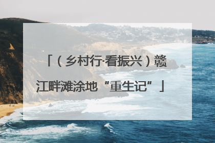 （乡村行·看振兴）赣江畔滩涂地“重生记”