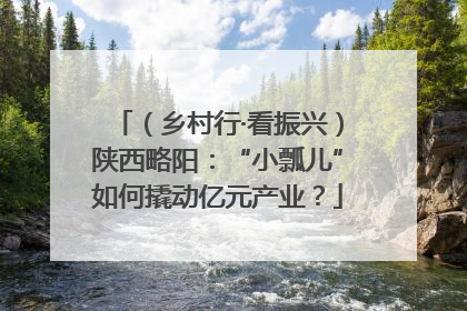 （乡村行·看振兴）陕西略阳：“小瓢儿”如何撬动亿元产业？