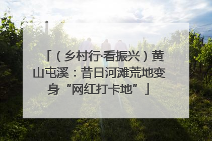 （乡村行·看振兴）黄山屯溪：昔日河滩荒地变身“网红打卡地”
