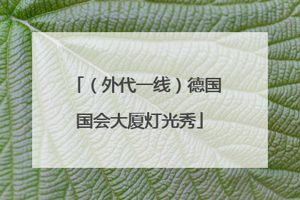 （外代一线）德国国会大厦灯光秀