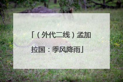 （外代二线）孟加拉国：季风降雨
