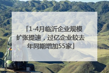 1-4月临沂企业规模扩张提速，过亿企业较去年同期增加55家