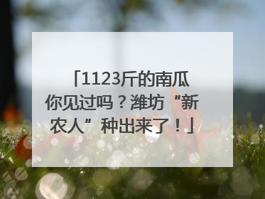 1123斤的南瓜你见过吗？潍坊“新农人”种出来了！