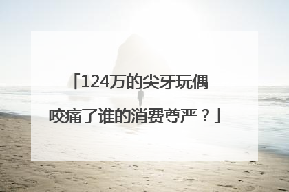 124万的尖牙玩偶 咬痛了谁的消费尊严？