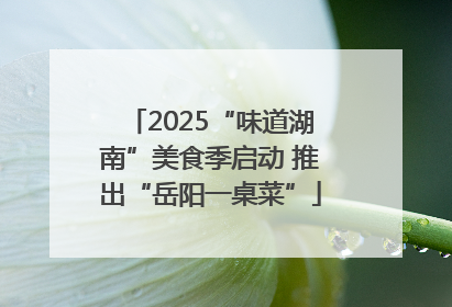 2025“味道湖南”美食季启动 推出“岳阳一桌菜”