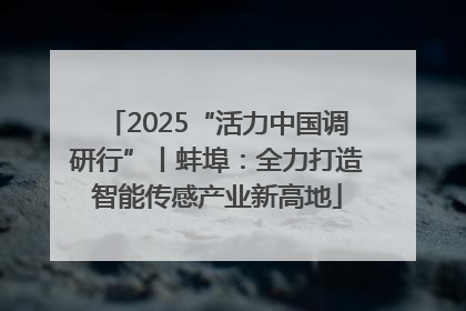 2025“活力中国调研行”丨蚌埠：全力打造智能传感产业新高地