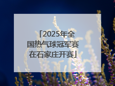 2025年全国热气球冠军赛在石家庄开赛