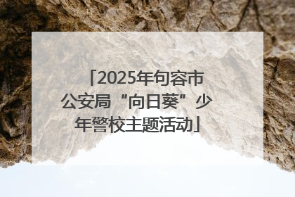 2025年句容市公安局“向日葵”少年警校主题活动