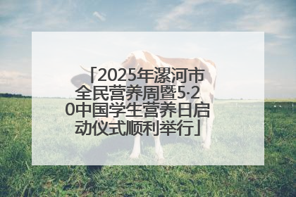 2025年漯河市全民营养周暨5·20中国学生营养日启动仪式顺利举行