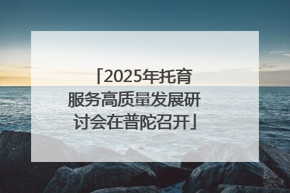 2025年托育服务高质量发展研讨会在普陀召开