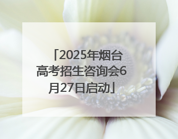 2025年烟台高考招生咨询会6月27日启动