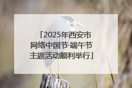 2025年西安市网络中国节·端午节主题活动顺利举行