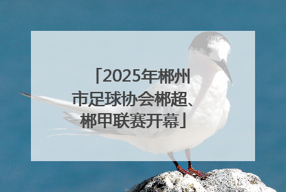 2025年郴州市足球协会郴超、郴甲联赛开幕