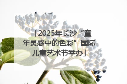 2025年长沙“童年灵感中的色彩”国际儿童艺术节举办