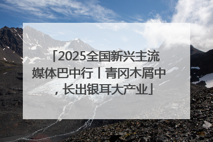 2025全国新兴主流媒体巴中行丨青冈木屑中，长出银耳大产业