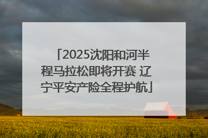 2025沈阳和河半程马拉松即将开赛 辽宁平安产险全程护航